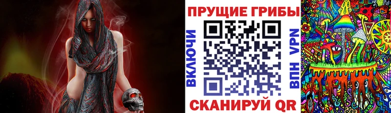 Псилоцибиновые грибы Psilocybine cubensis  гидра как войти  Заозёрный 